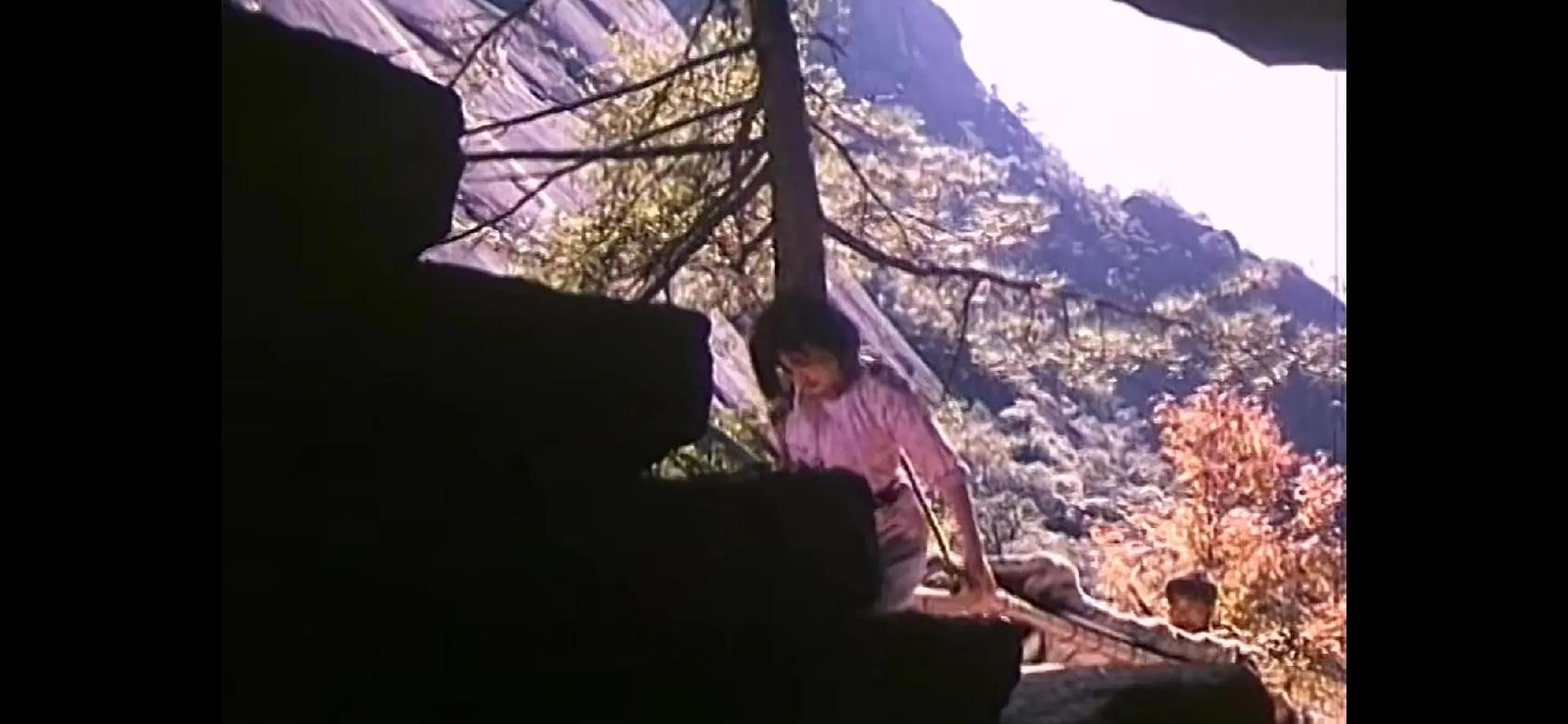 小花电影在线观看高清不卡顿 正版平台流畅播放指南