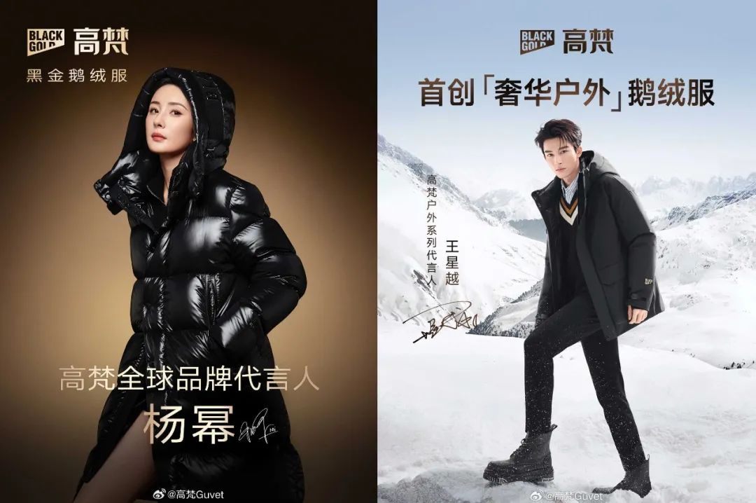 2024年Q4品牌明星代言趋势_热播剧加持效应分析_明星热点代言有哪些牌子的,